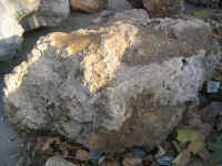 Absorb water stone5.jpg (78042 バイト)